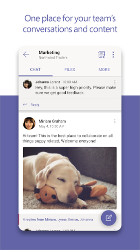 Microsoft Teams 0